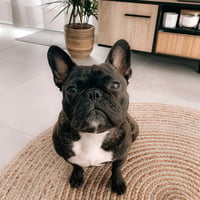 Jack