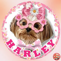 Harley