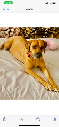 Lucy