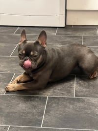 Skye