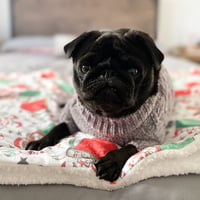 Pip