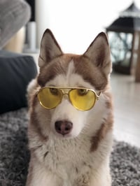 Bruno