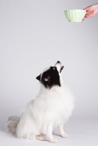 Sophie