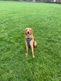 George