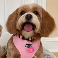 Mabel