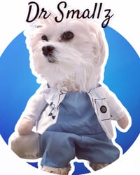 Dr Smallz