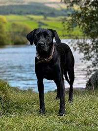 Bella