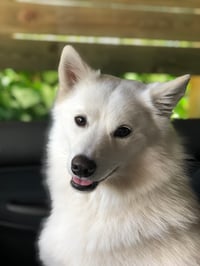 Macy