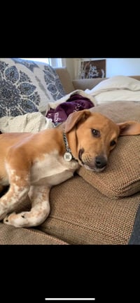 Rusty