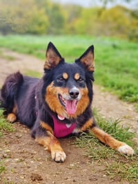Ruby