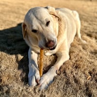 Charlie