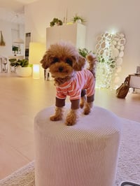 Little flo