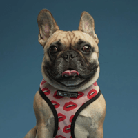 Roxie Heart