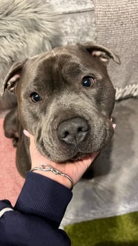 Vinnie