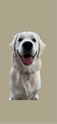 Rupert