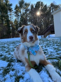 Maximillion