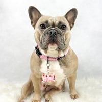 Bonnie