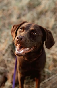 Charleigh