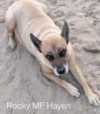 Rockford ("Rocky") Hayes