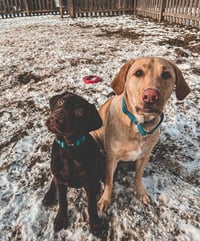 Murphy and Fisher