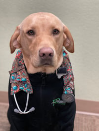 Milo