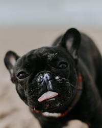 Charlie