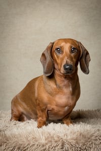 Slinky