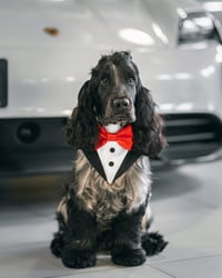 Milo