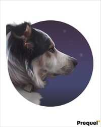 schuyler