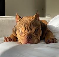 Maddy