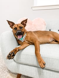 Ella