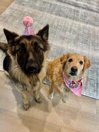 Kobe and Hunny