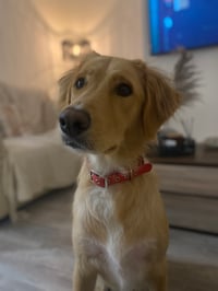 George
