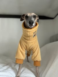 Zola