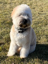 Fletcher
