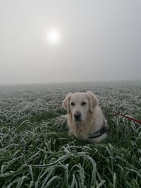 Luca