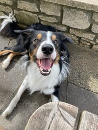 Opie
