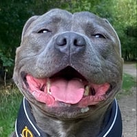 Bruce
