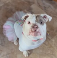 Gertrude McPudge