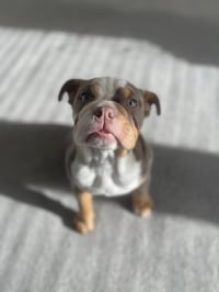 Winnie