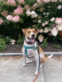 Ellie