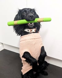 Hugsy