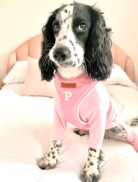 Piper