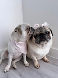 Dotty & Queenie