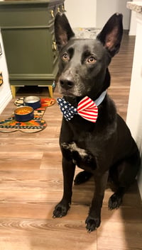 Jack