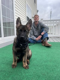 Dog