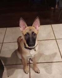 Kane