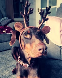 Odin