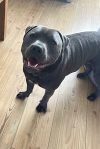 Ronnie