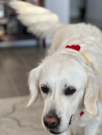 Riley